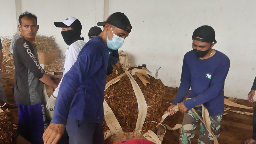 Bupati Agus Setyawan Minta Petani Jaga Kualitas Tembakau untuk Dongkrak Harga