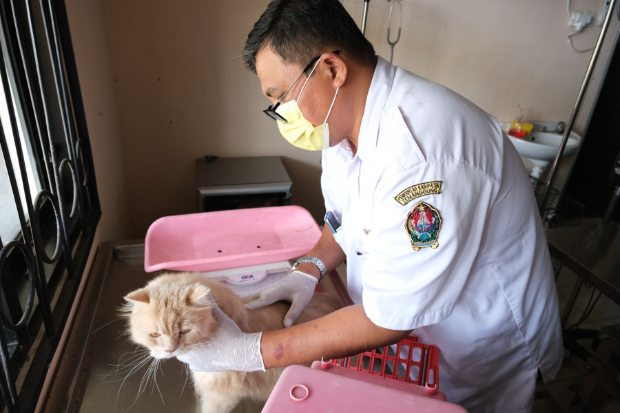 Dari Klinik ke Lapangan, Puskeswan Temanggung Hadir Aktif Layani Warga