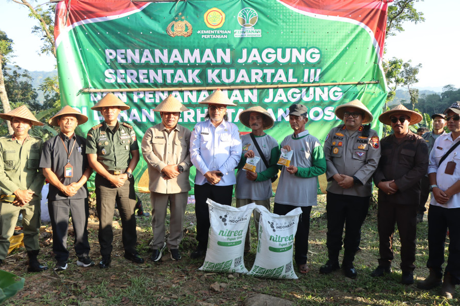 Dukung Swasembada Pangan, Perhutani KPH Kedu Utara Sediakan Lahan 11 Hektare