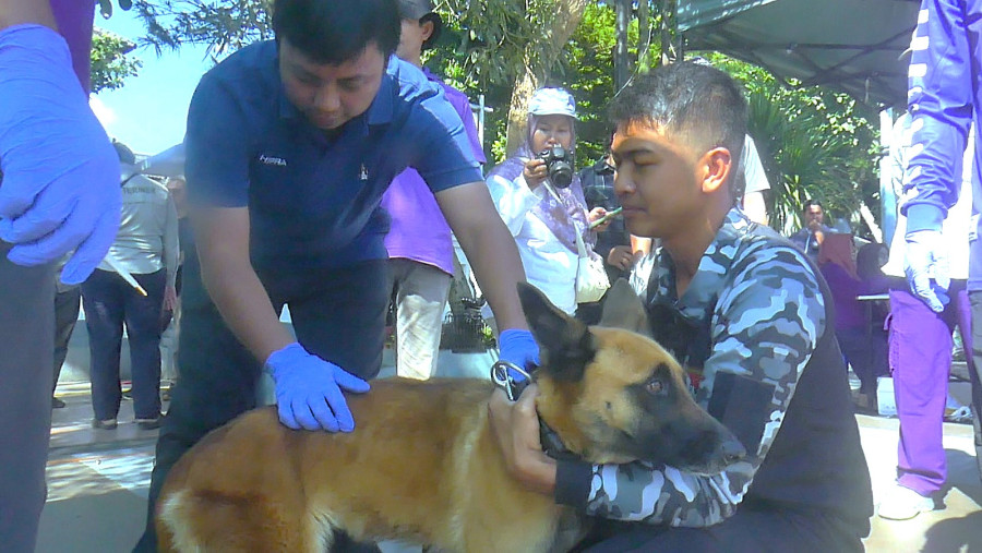 Antisipasi Rabies, DKPPP Temanggung Lakukan Vaksinasi Hewan Piaraan, Gratis!