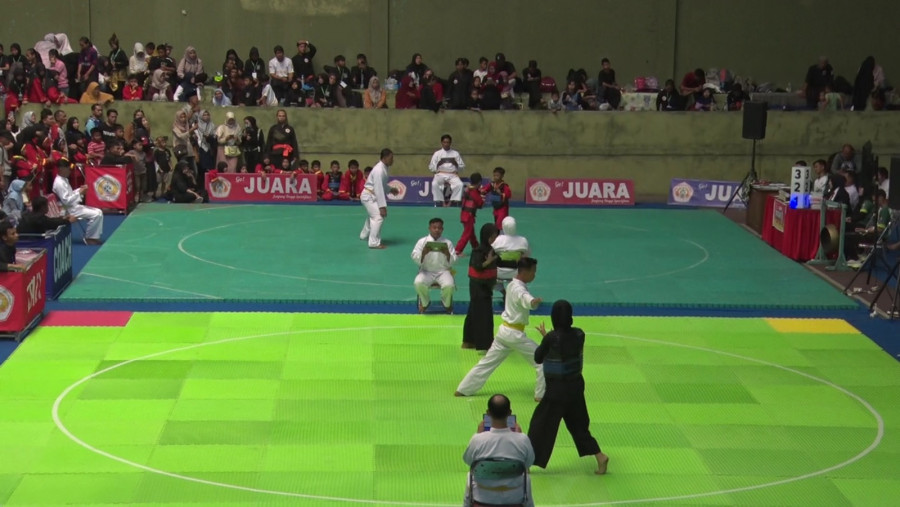 Kejuaraan Pencak Silat 