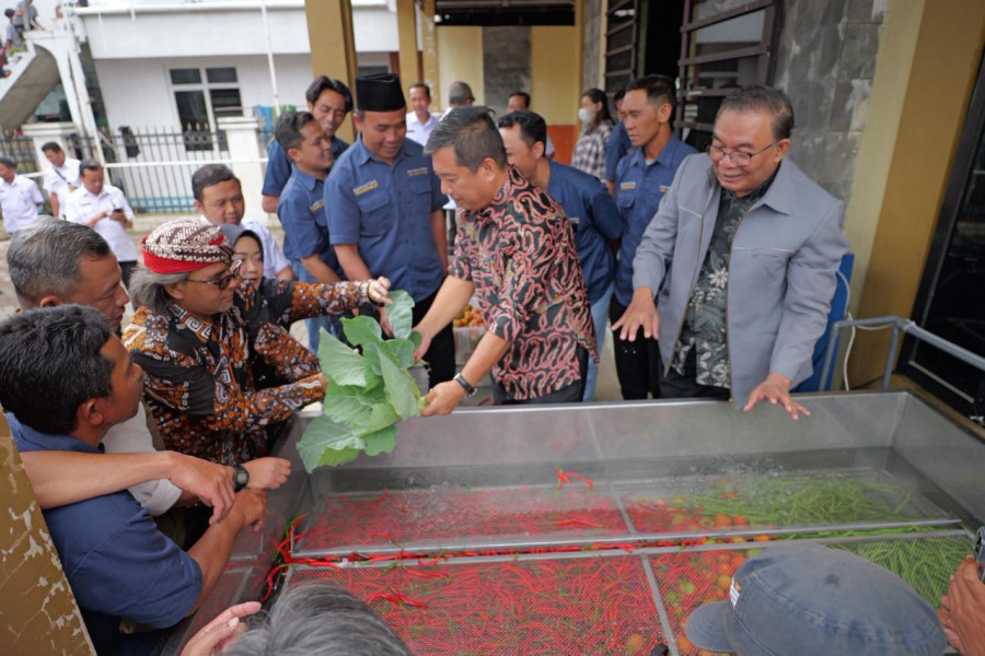 Inovasi Plasma Ozon Cegah Pembusukan Produk Pertanian