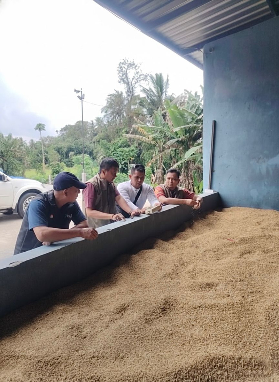 ?Bulog Magelang Targetkan Serap 62.690 ton Setara Beras dari Petani