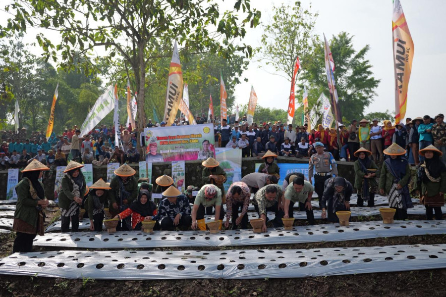 Perkuat Ketahanan Pangan, 1.000 Petani di Temanggung Tanam Bawang Merah Serentak