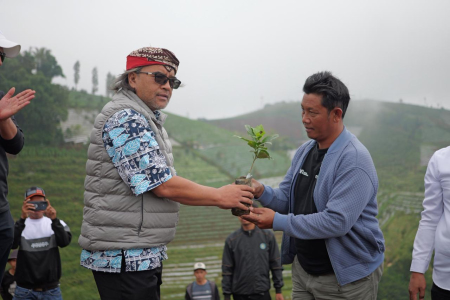 Temanggung Terima Bantuan Bibit Kopi Arabika 500.000 Batang