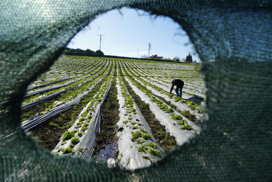 Harga Plastik Melonjak, Produksi Pabrik di Wonoboyo Turun 50 Persen