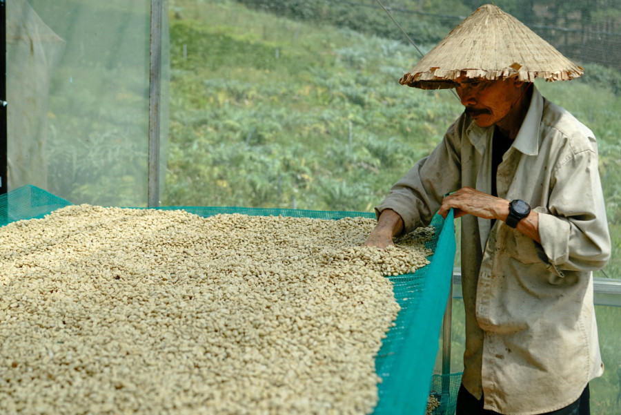 DKPPP Perkuat Penanganan dan Langkah Antisipatif di Tengah Perubahan Iklim Global