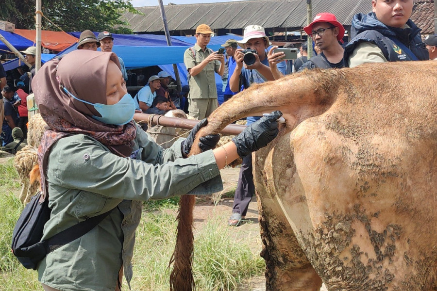 Pastikan Kesehatan Hewan Kurban, DKPPP Adakan Pemeriksaan di Pasar Ngadirejo