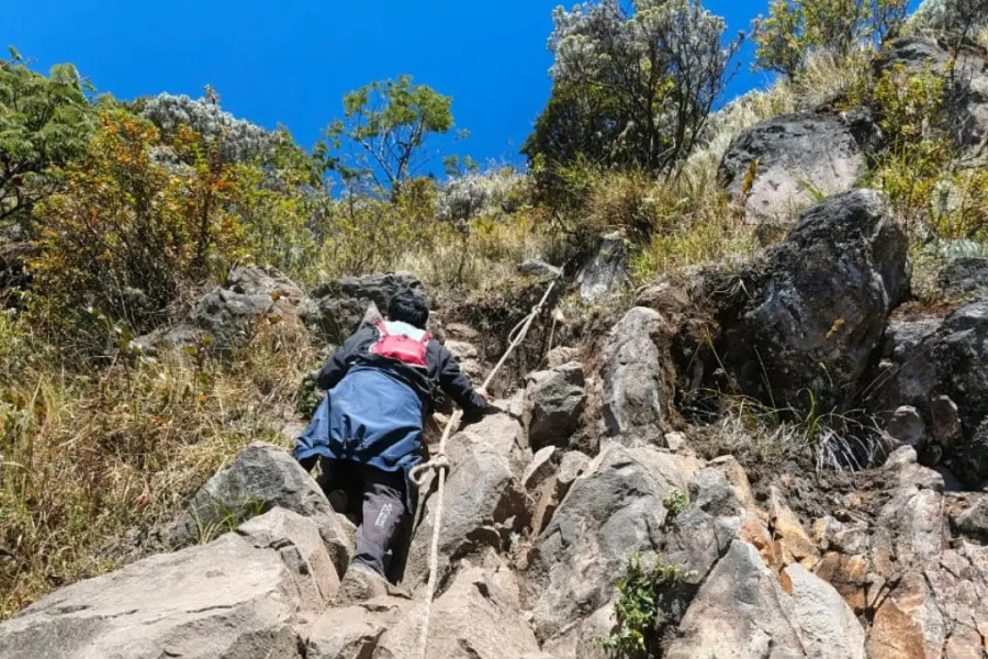 Ilalang Sekitar Pos 4 Gunung Sumbing Kering, BPBD Temanggung Minta Pendaki Waspadai Kebakaran Hutan