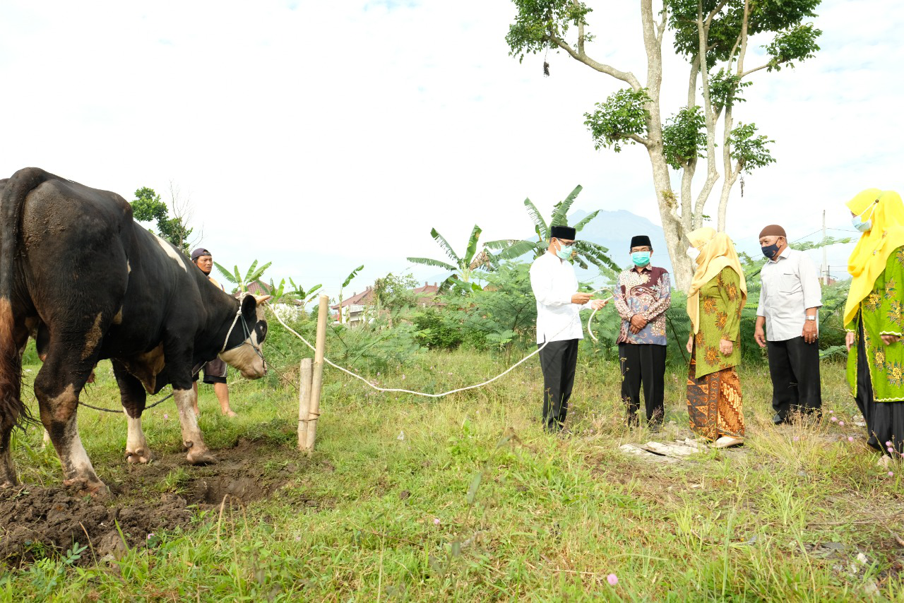 Bupati Serahkan Hewan Kurban ke Aisyiyah dan Muslimat