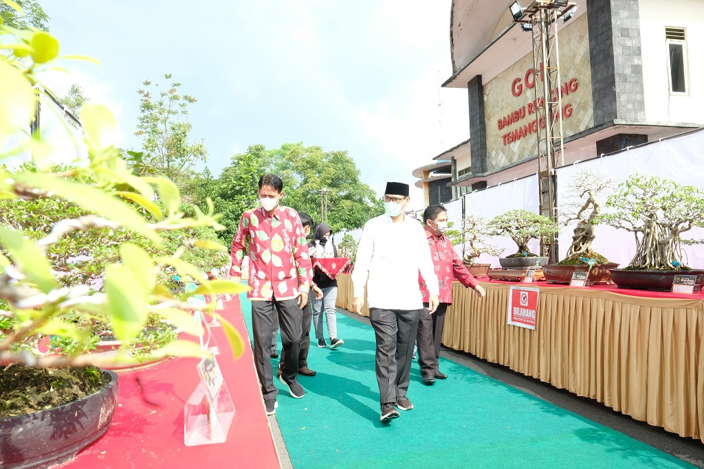 Pameran Bonsai Temanggung Digelar dengan Protokol Kesehatan Ketat