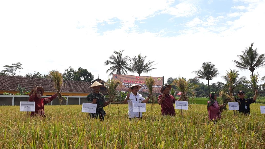 Kementrian Pertanian Pastikan Kebutuhan Beras di Indonesia Tidak Lagi Import