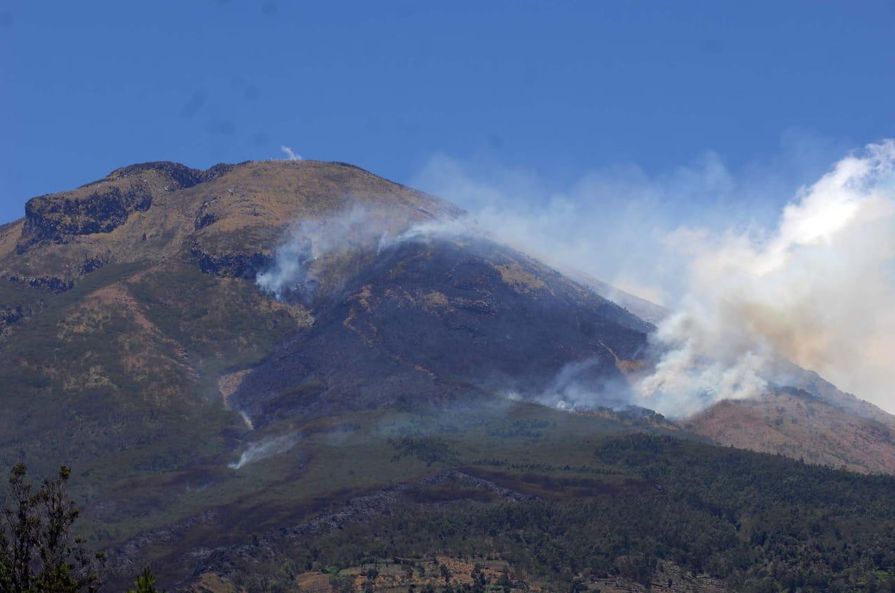 Upaya Pemadaman Kebakaran di Gunung Sindoro Masih Terus di Lakukan