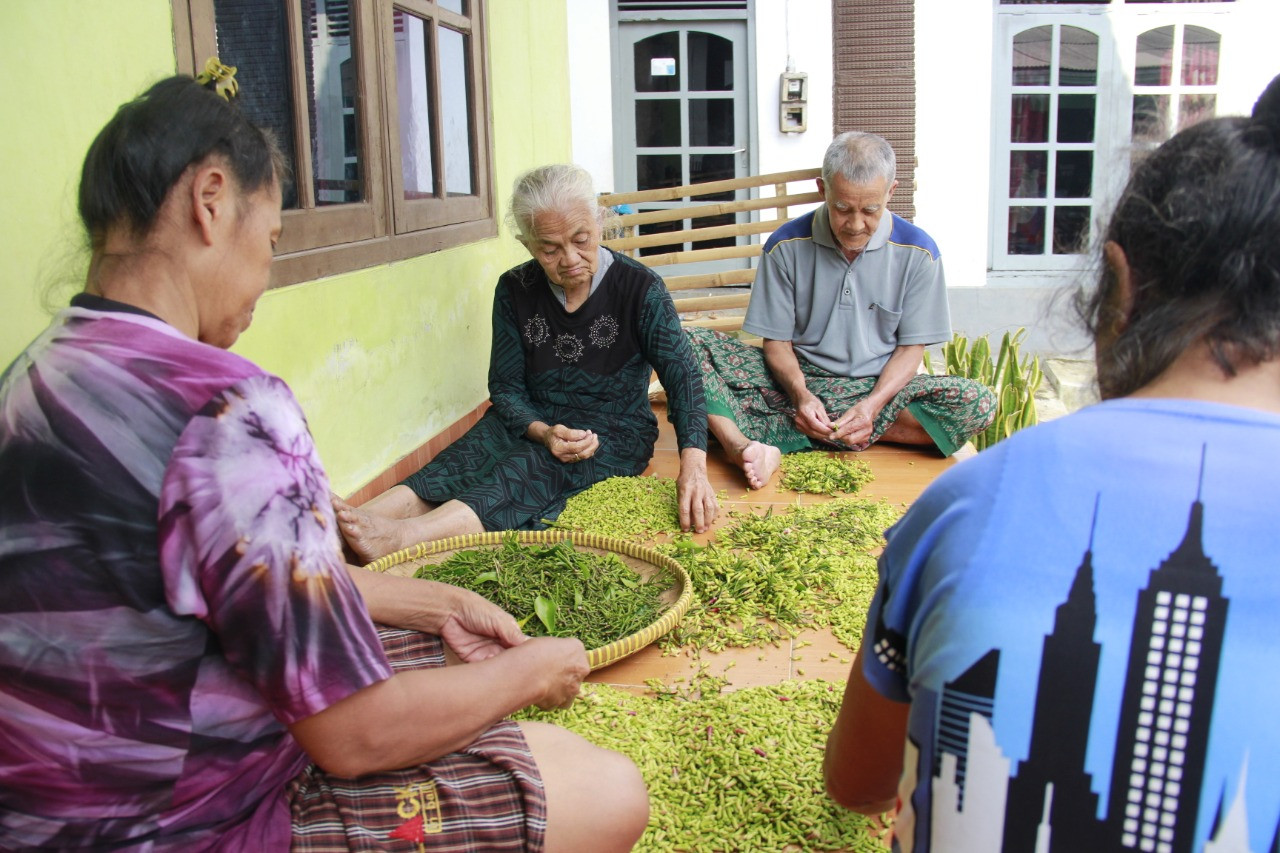 Cengkih Komoditas Primadona Pada Masanya