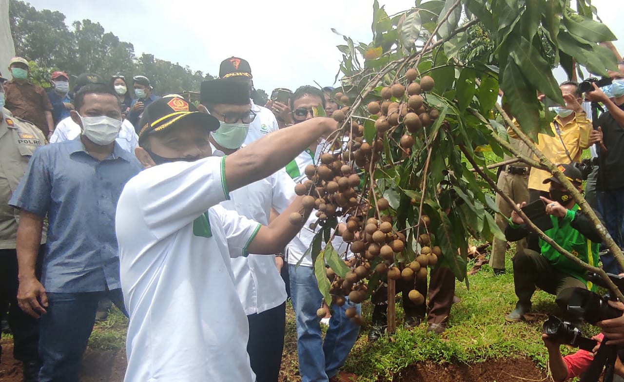 Perum Perhutani KPH Kedu Utara Buka Investor Kembangkan Pariwisata