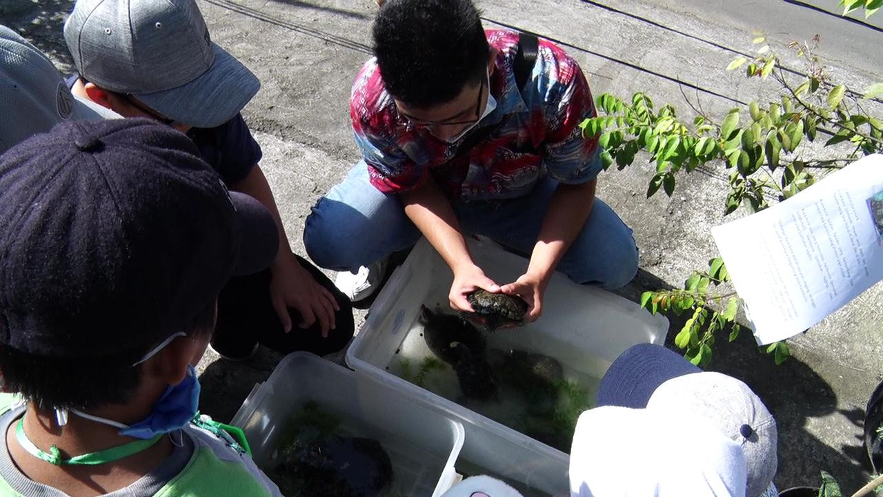 Kenalkan Hewan dan Tumbuhan Sejak Dini Lewat Mini Zoo In My School