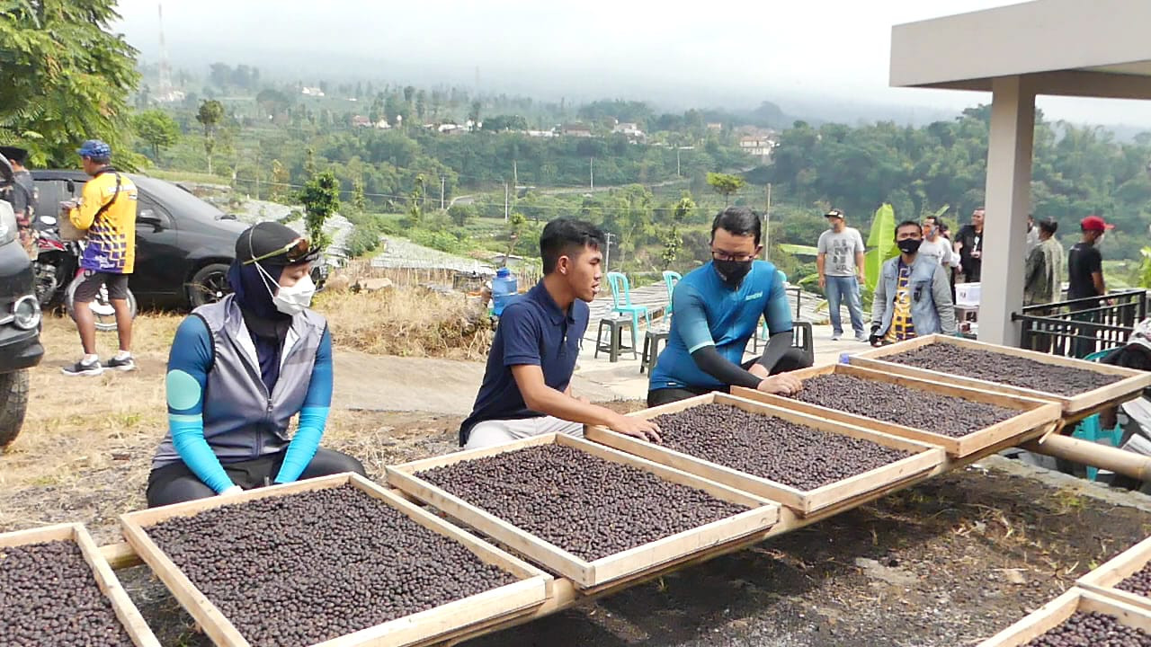 Pelaku Kopi Milenial, Tingkatkan Inovasi dan Strategi Pemasaran