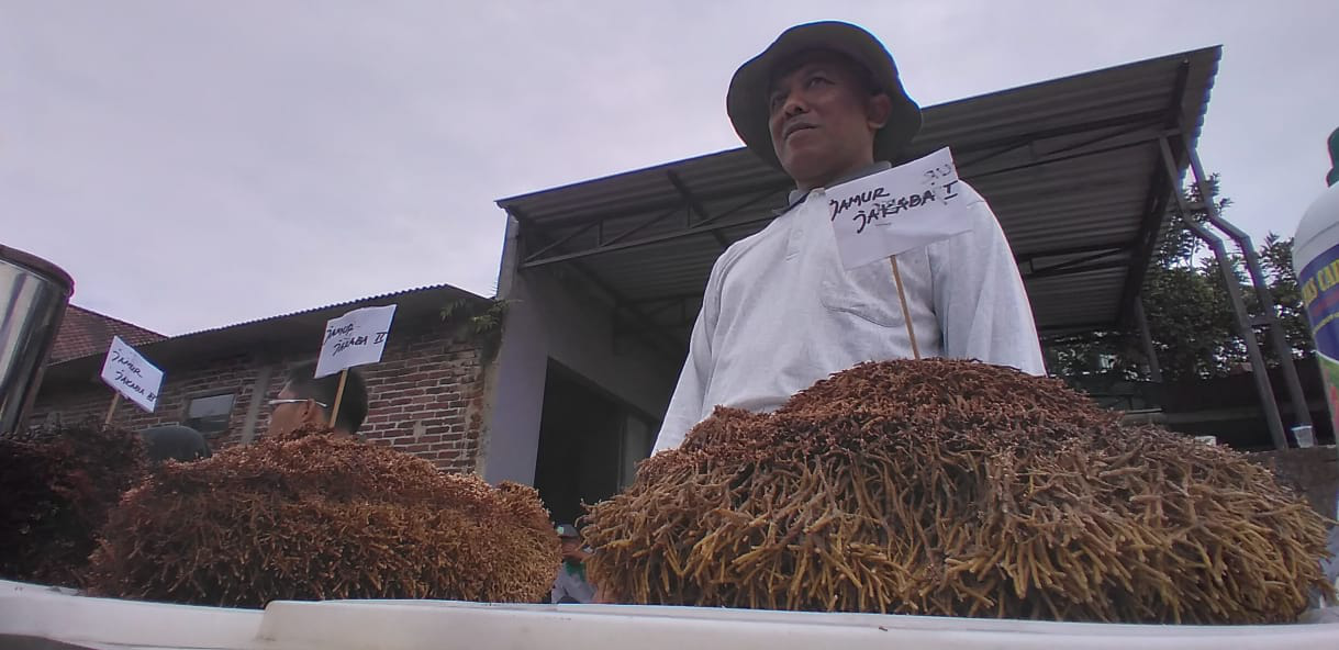 Kreativitas Petani Ngadirejo Kembangkan Jamur untuk Pupuk Cair