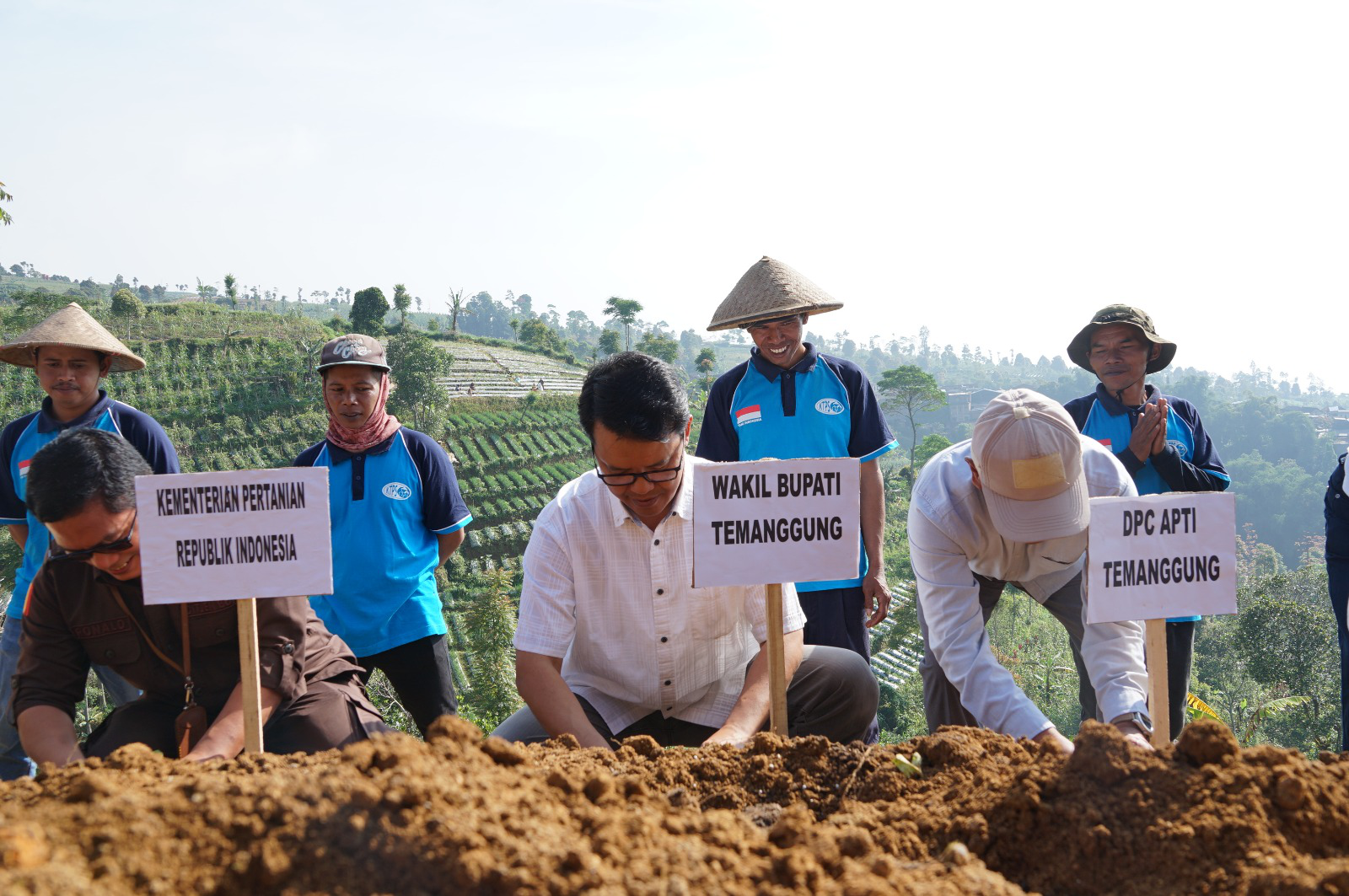 Petani Sumbing Mulai Tanam Tembakau