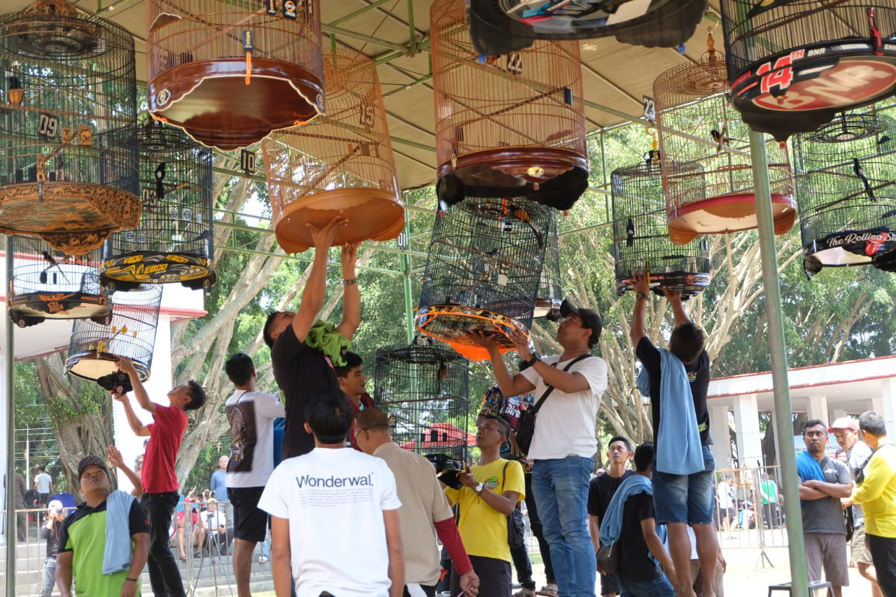 Lomba Burung Berkicau Awali Rangkaian Hari Jadi Temanggung