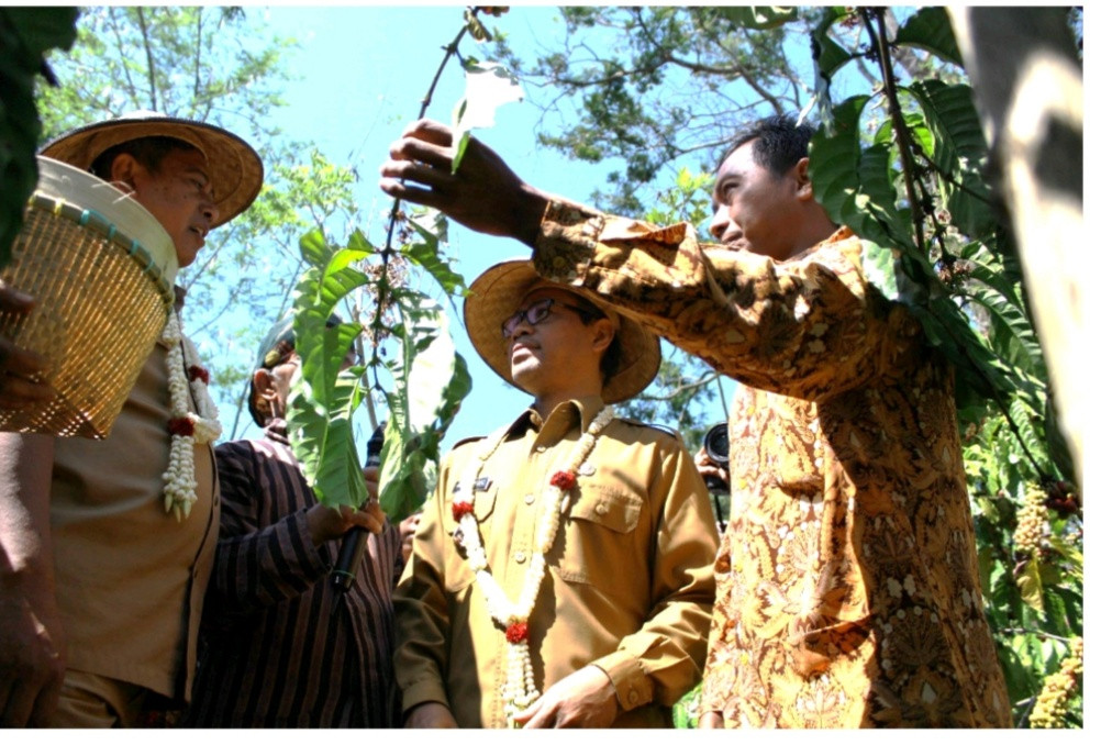 Peninjauan Petik Merah Kopi Giyono Kabupaten Temanggung