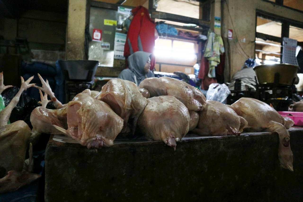 Harga Daging Ayam Naik Tiga Hari Ini. 