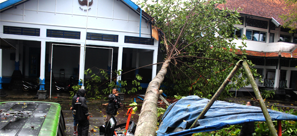 Hujan Lebat Disertai Angin Kencang Akibatkan Pohon Tumbang dan Beberapa Bangunan Rusak 