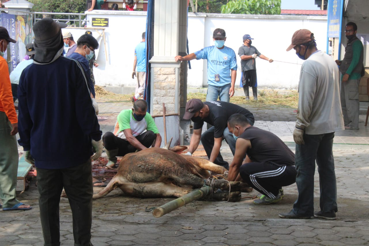 DKPPP Temanggung Pastikan Penyembelihan Hewan Kurban Sesuai Kriteria ASUH