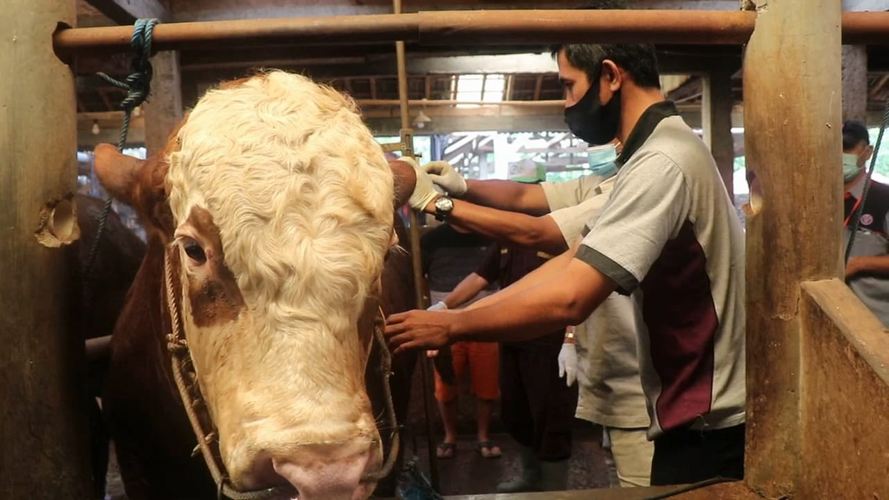 Pemkab Dorong Masyarakat Tekun Beternak