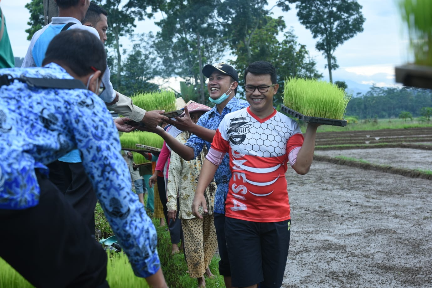 Petani Temanggung Kembangkan Padi Organik Jajar Legowo