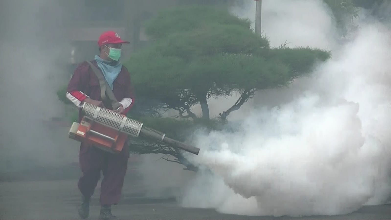 Dinkes Temanggung Lakukan Fogging di Daerah Endemis DBD