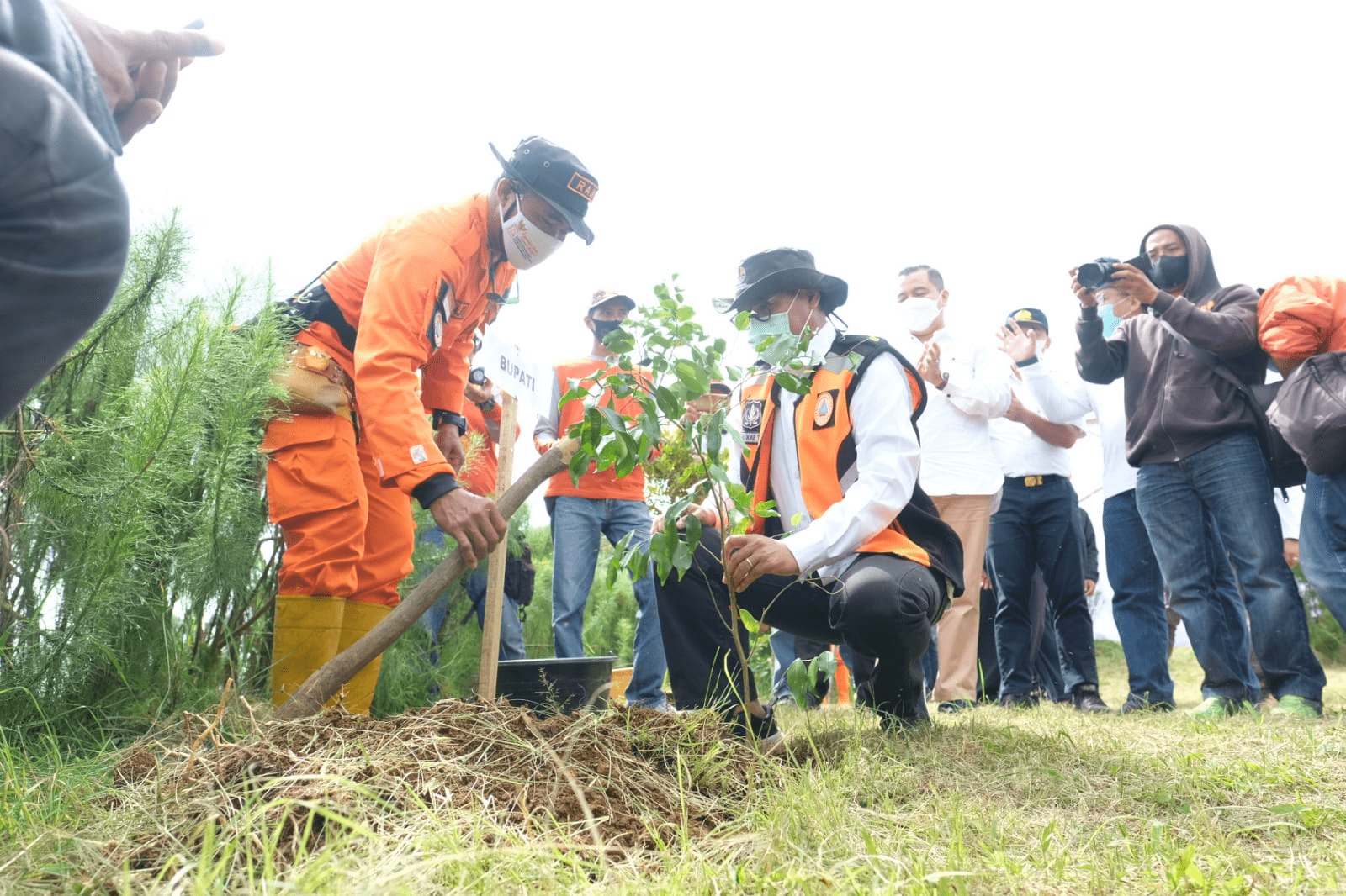 500 Ribu Bibit Pohon akan Hijaukan Sindoro