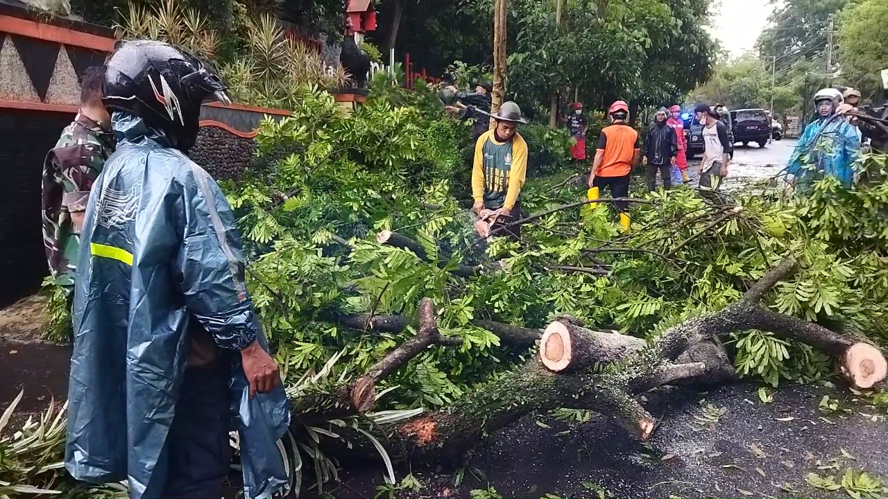 BPBD Minta Warga Waspada Terhadap Potensi Angin Kencang