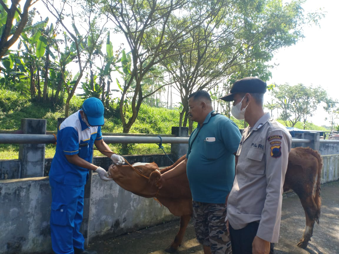 167 Dokter Hewan di eks-Karesidenan Kedu Terlibat dalam Pengawasan Kurban