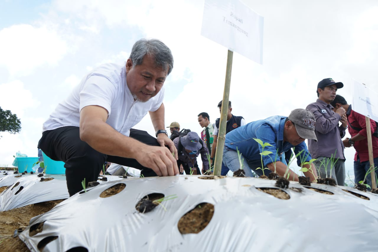 Tanam Bawang di Temanggung, Dirjen Hortikultura Minta Petani Gunakan Soil Block