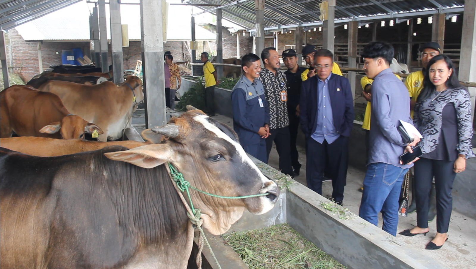 Desa Joho Dapatkan Bantuan Kandang Komunal dan Ternak Sapi