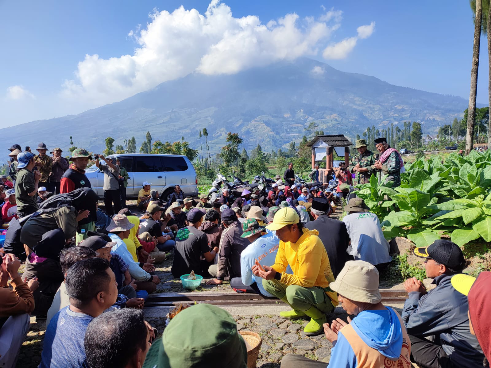 Petani Lereng Sindoro Gelar Wiwit Kedua di Lahan Tembakau