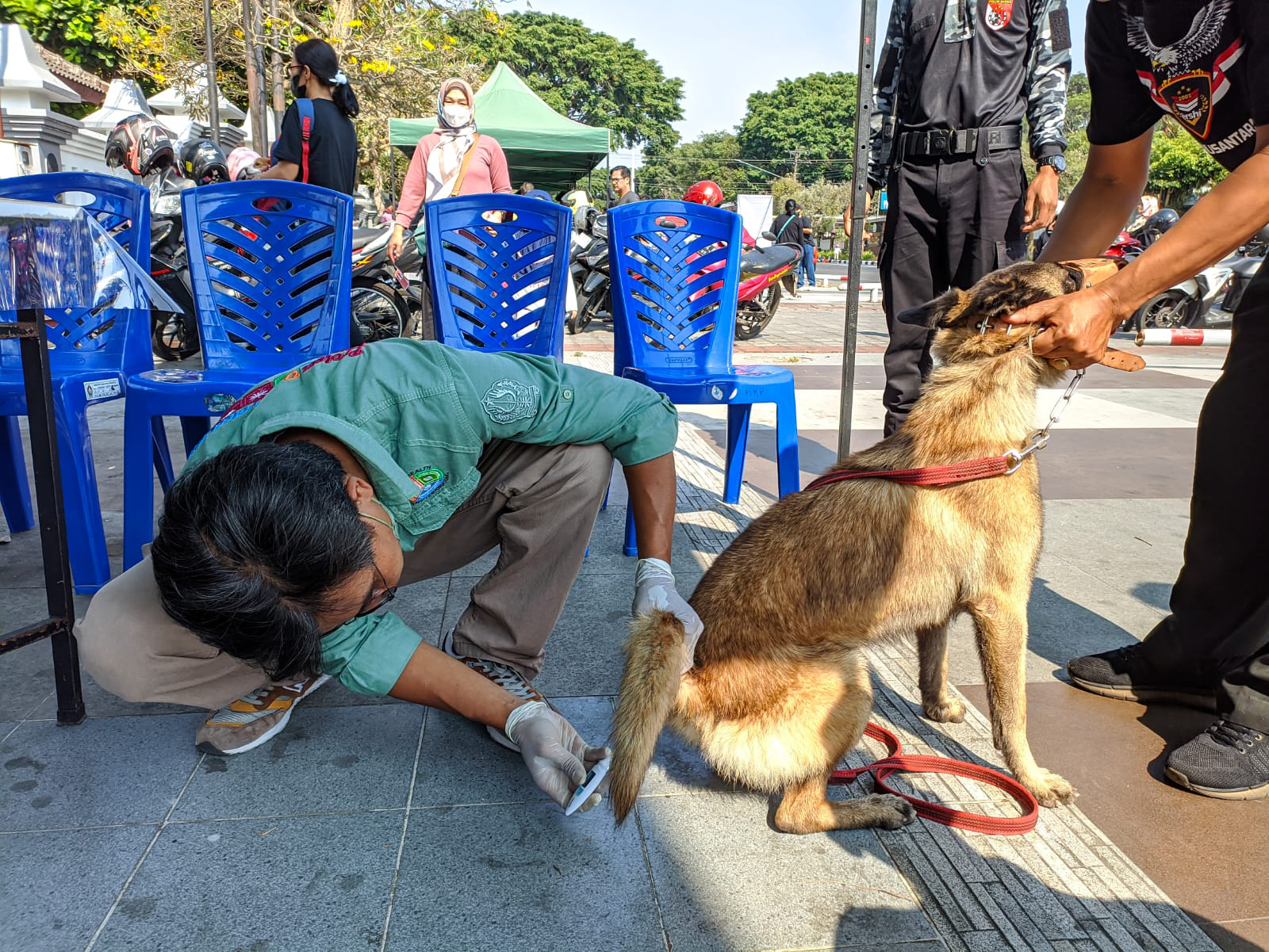 Pecinta Kucing dan Anjing, Antusias Peringati World Rabies Day 2023