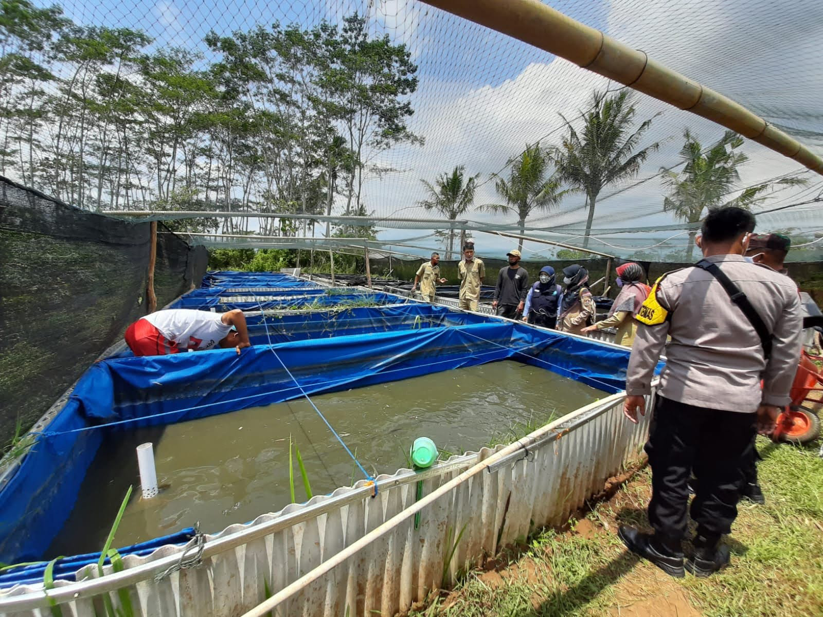 DAK 2,5 Miliar untuk Tingkatkan Produktivifitas Perikanan di Temanggung