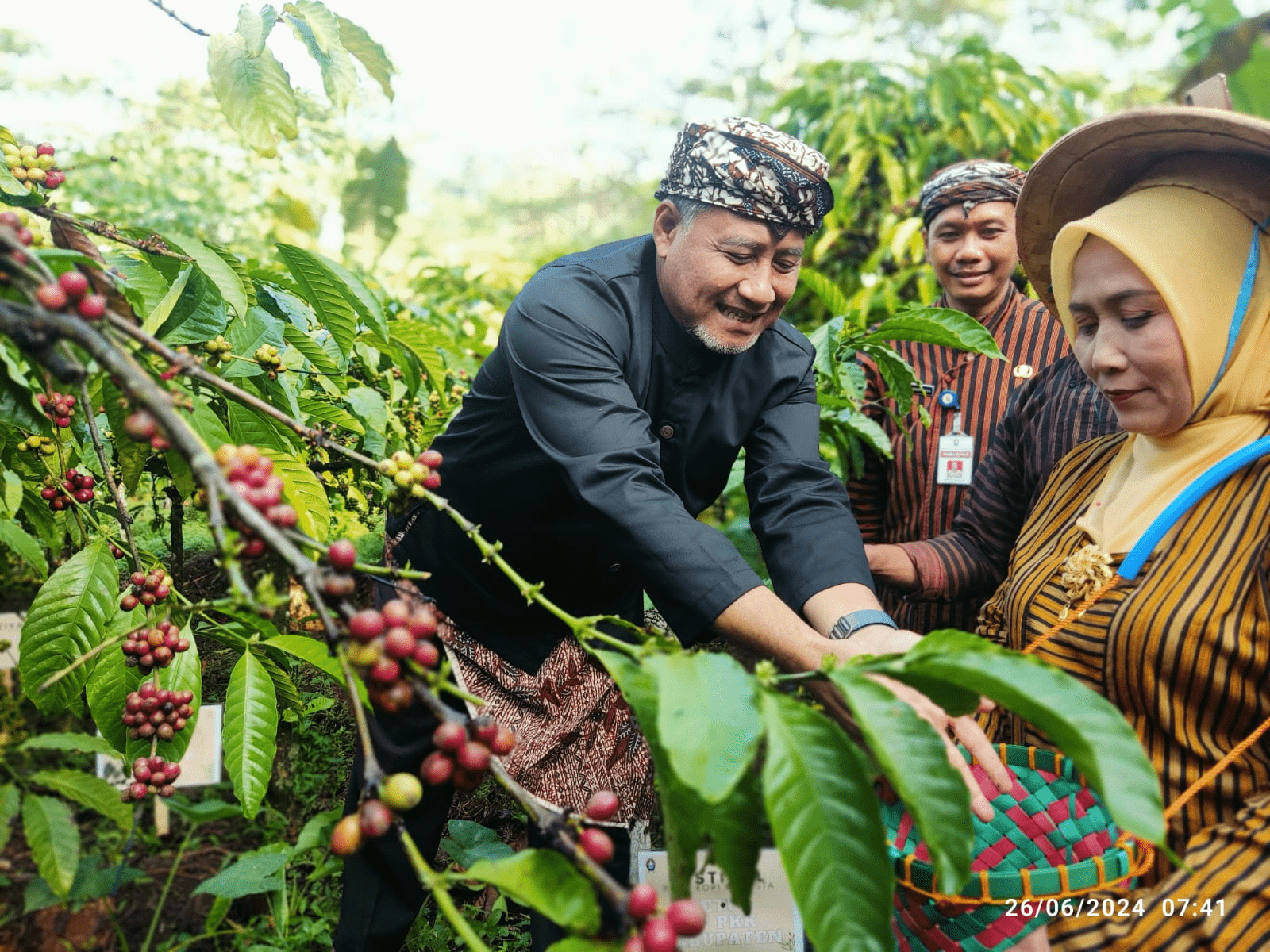 Petik Kopi Gemawang Masuk Kalender Pariwisata Temanggung