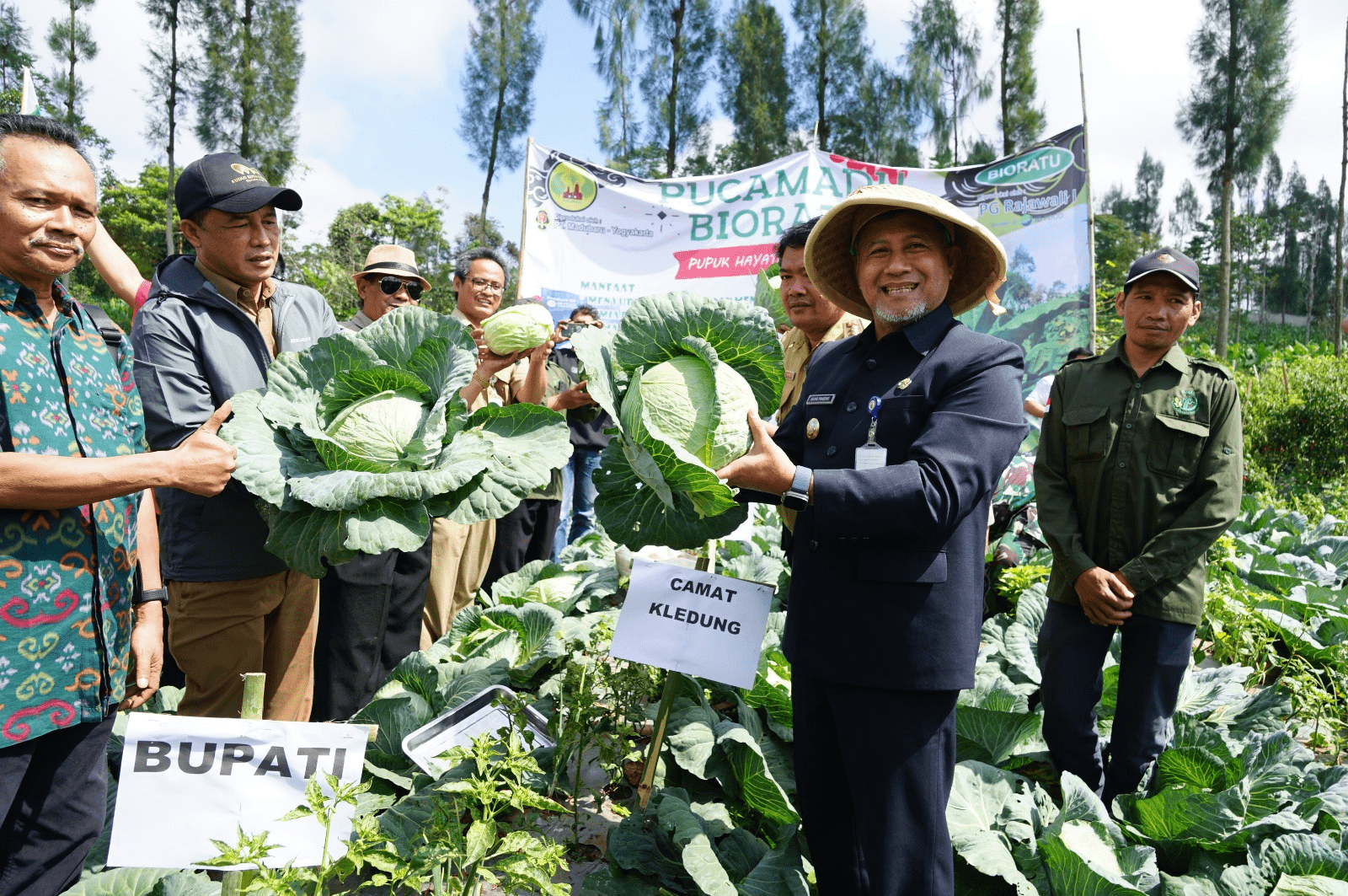 Pj. Bupati Panen Kubis dengan Pupuk Hayati, Produktivitas Lebih Tinggi