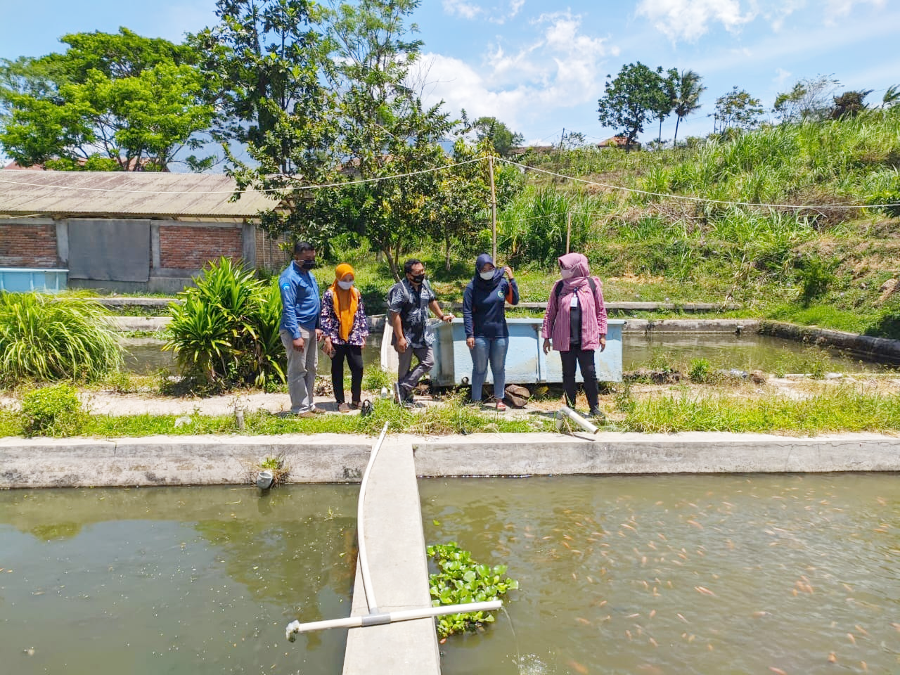 Manfaatkan Potensi Alam, Almond Kembangkan Integrated Farming