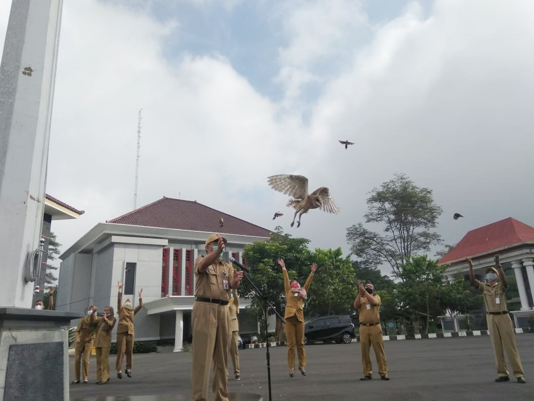 Hari Lingkungan Hidup Sedunia 2021, Saatnya Restorasi Ekosistem