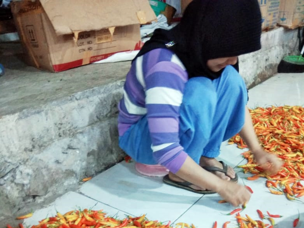 Harga Cabai Terpengaruh Pandemi Korona