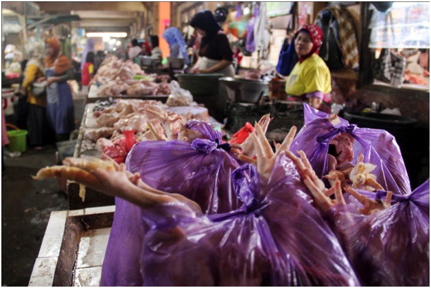 Usai Hari Raya Idul Fitri, Harga Ayam Potong Turun