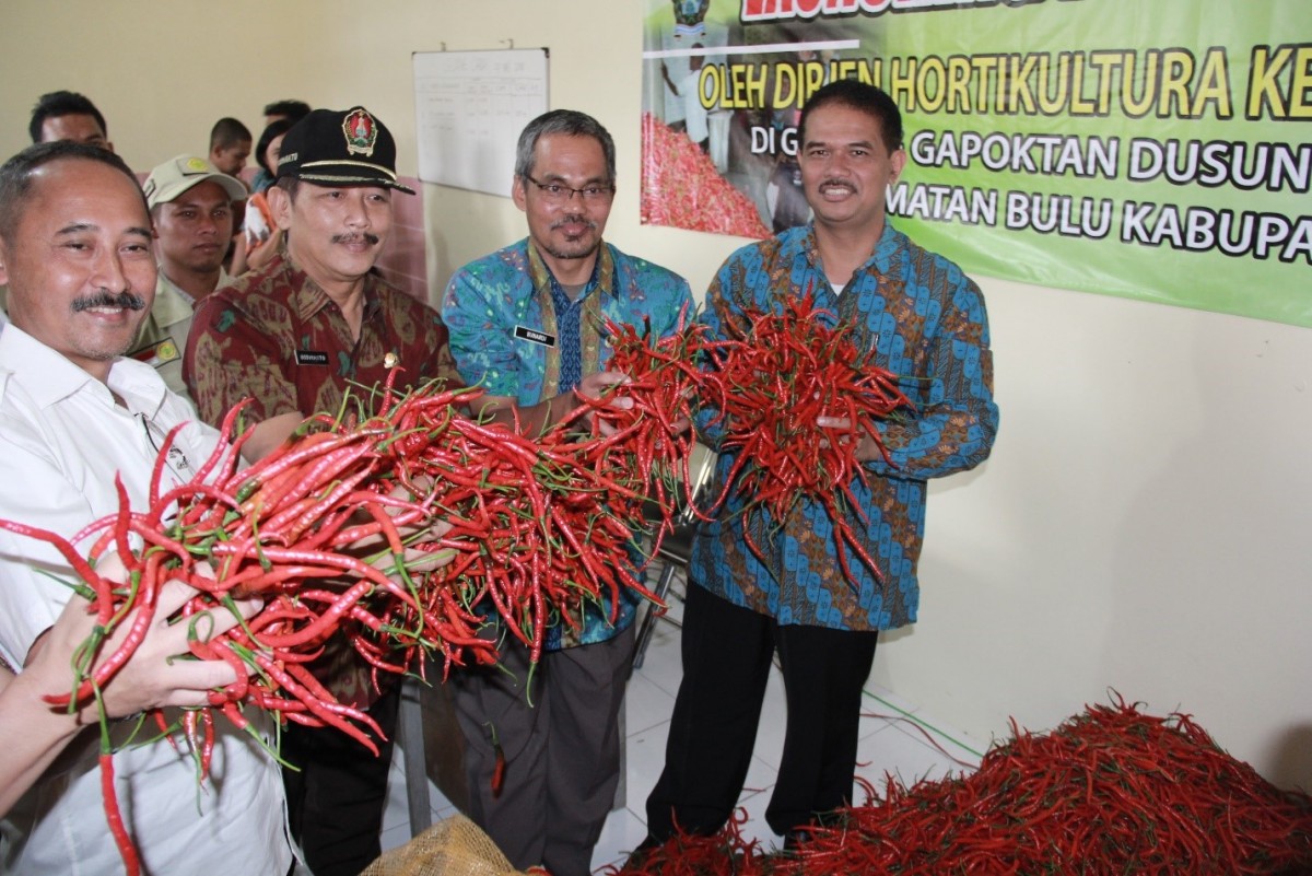 Tingkatkan Keuntungan Petani, Pemerintah Resmikan Pasar Lelang