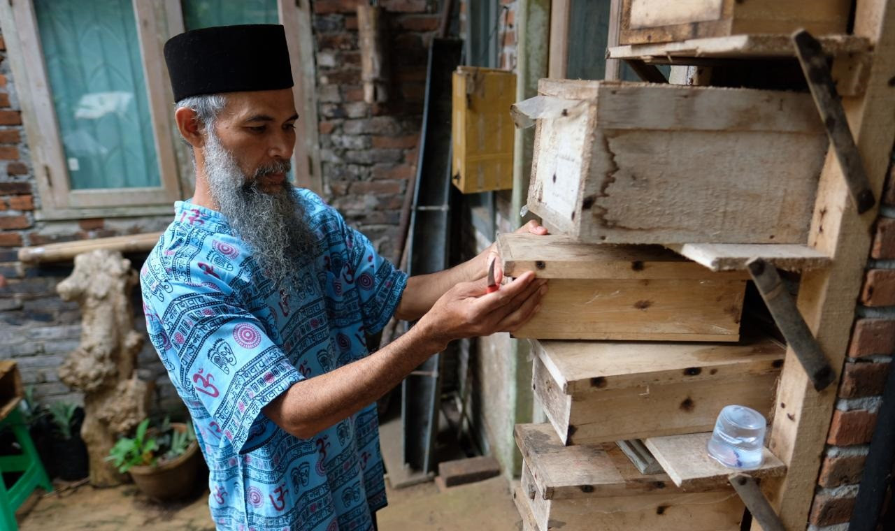 Tingkatkan Kesejahteraan Dengan Usaha Budidaya Madu Klanceng 