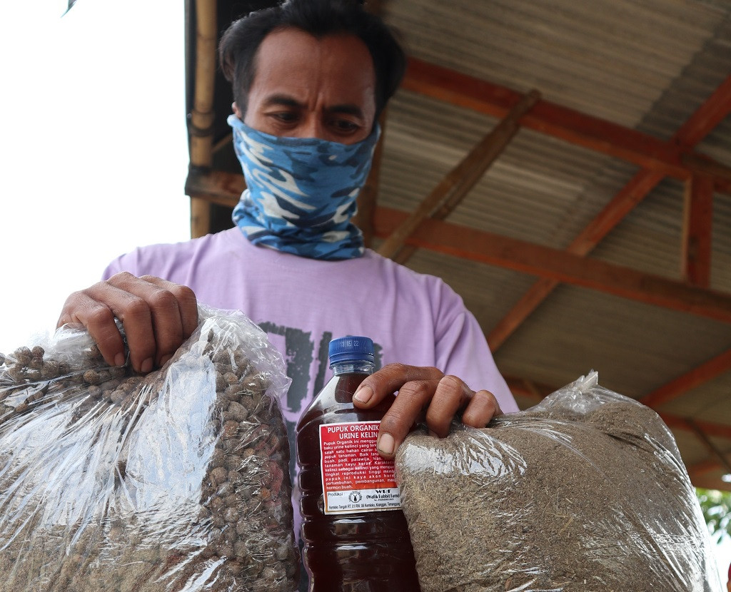 Olah Kotoran Kelinci Jadi Pupuk Organik