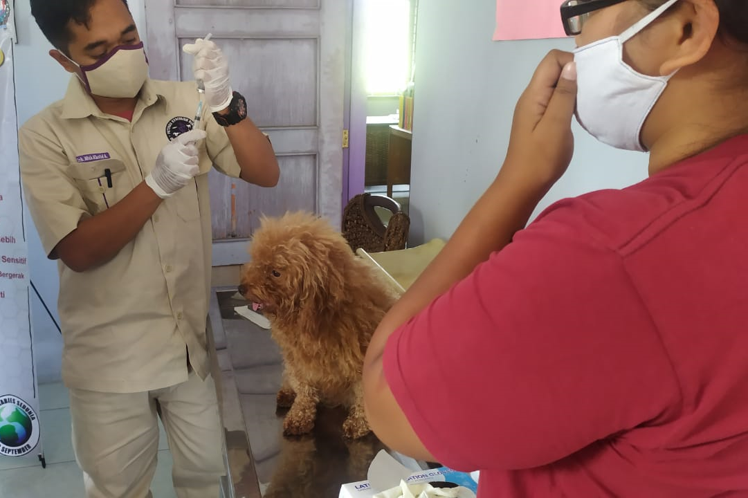 Peringati Hari Rabies Sedunia, Disnakan Temanggung Lakukan Vaksinasi Gratis