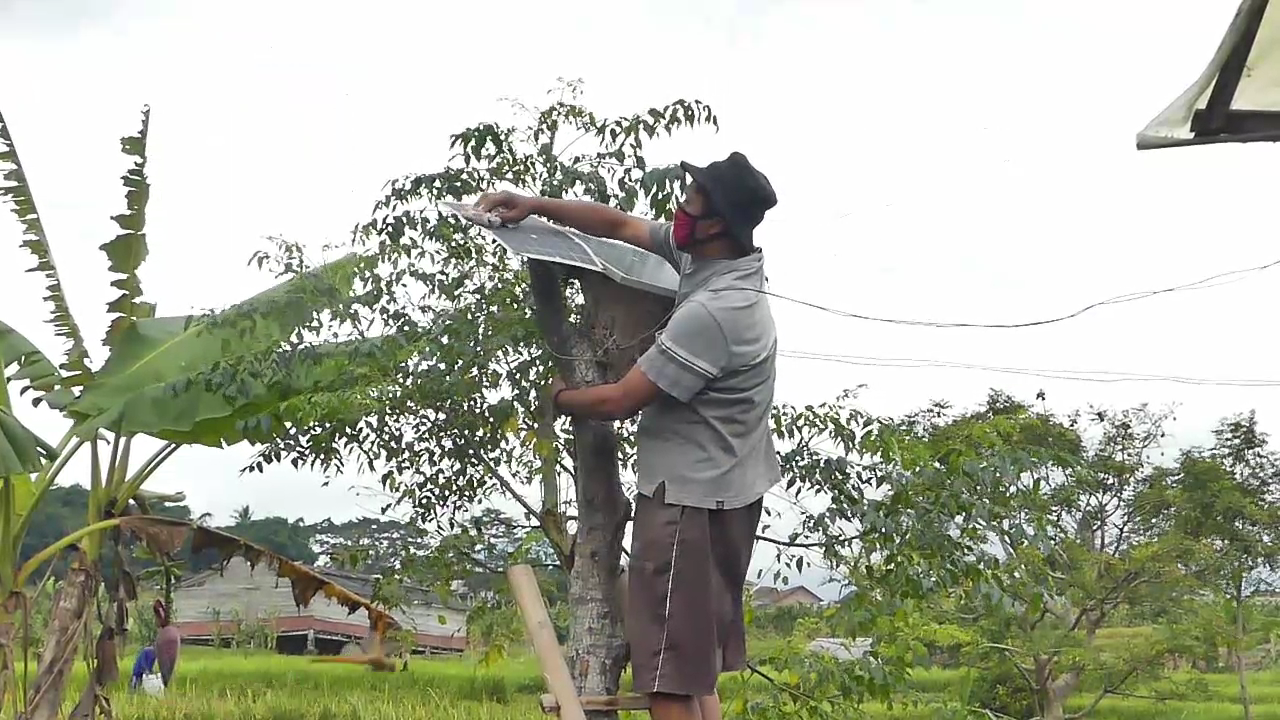 Optimalkan Listrik Tenaga Matahari Untuk Beternak Ayam Petelur 